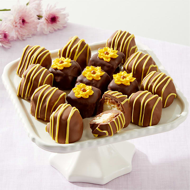 product image for Sunny Days Belgian Chocolate-Covered Cheesecake Bites