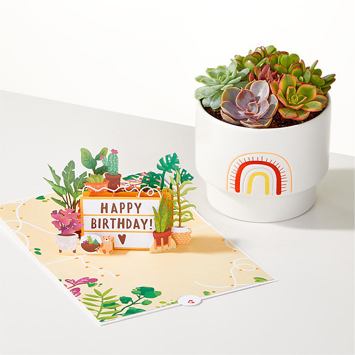 product image for Succulent Garden & Happy Birthday Lovepop® Pop-Up Card