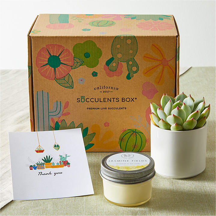 product image for Thank You Succulent Gift Box