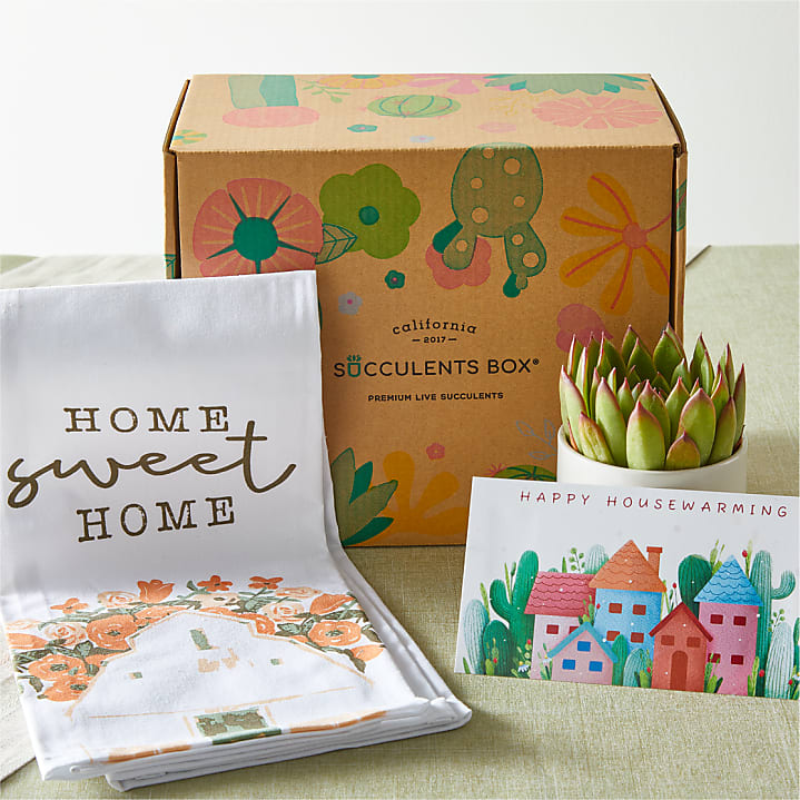 product image for Housewarming Succulent Gift Box