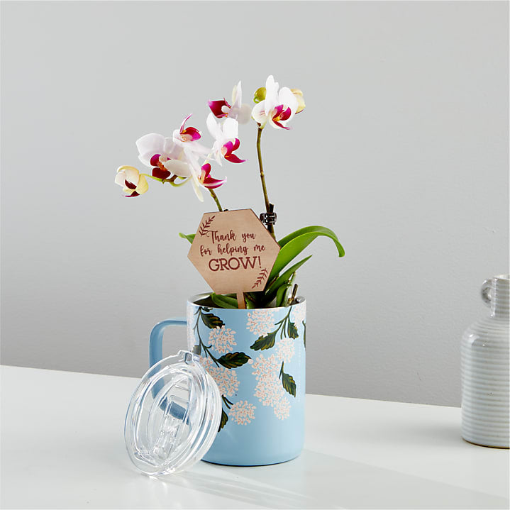 product image for Thank You Orchid in Corkcicle® Mug