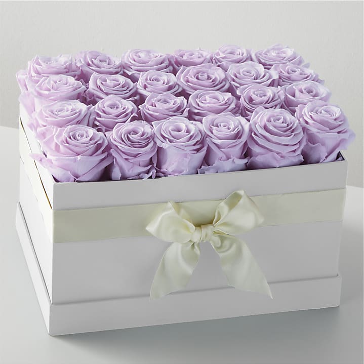 product image for Lavender Forever Rose